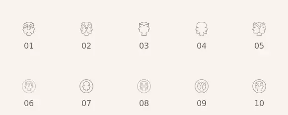 Janus icon variants shown at 32 pixels