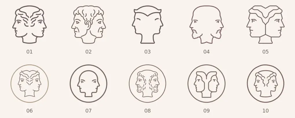 Janus icon variants overview